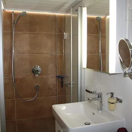 Chalet Z' Flesche شاليه